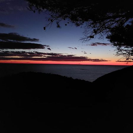 Apartmani Marija Mljet Sobra Dış mekan fotoğraf